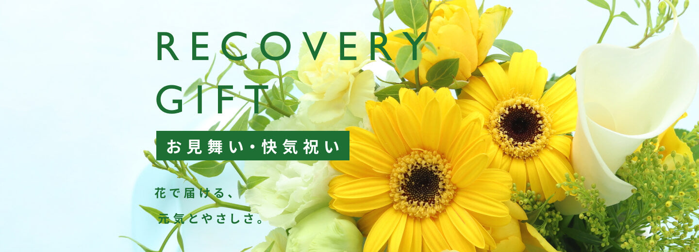 お見舞い・快気祝い