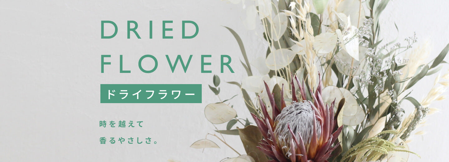 ドライフラワー