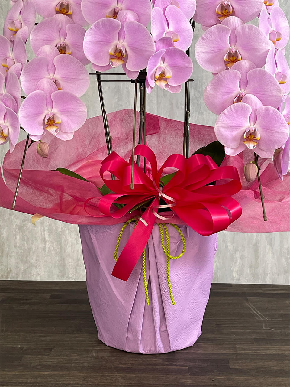 3本立ちピンク系胡蝶蘭