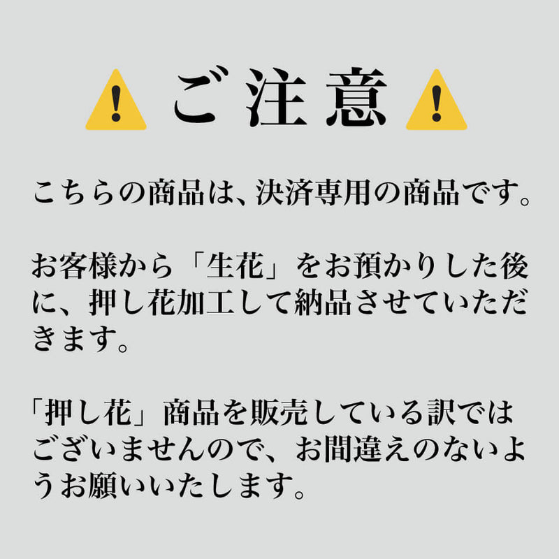 赤バラ108本 押し花