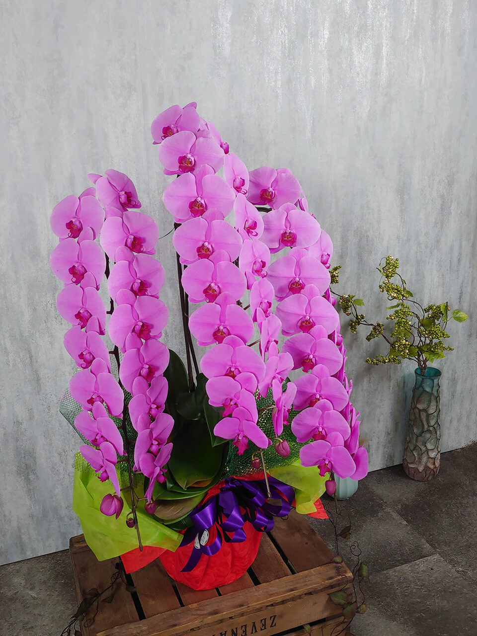 3本立ちピンク系胡蝶蘭