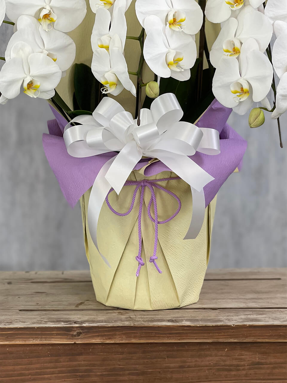 3本立ち白胡蝶蘭