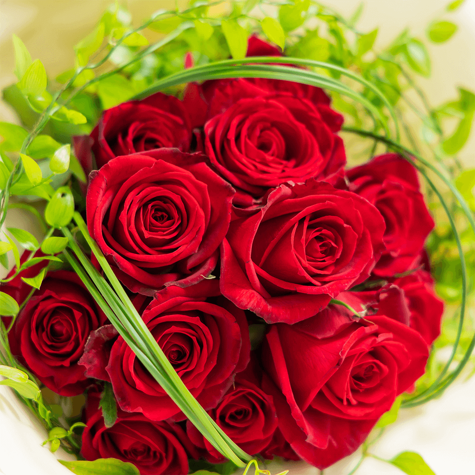 赤バラ12本の花束