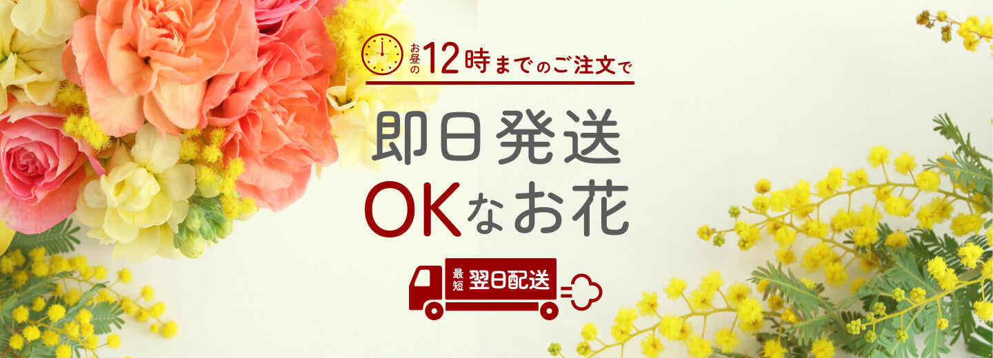 正午までの注文で即日発送