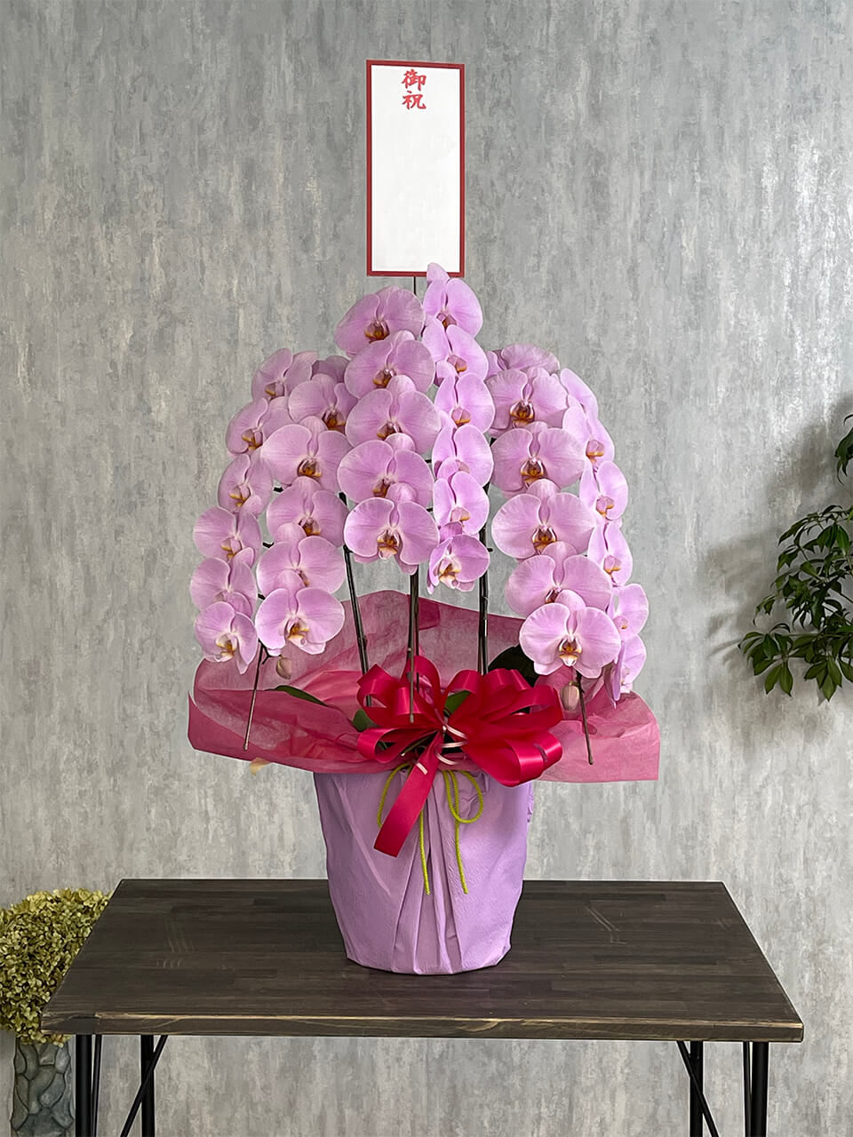 3本立ちピンク系胡蝶蘭