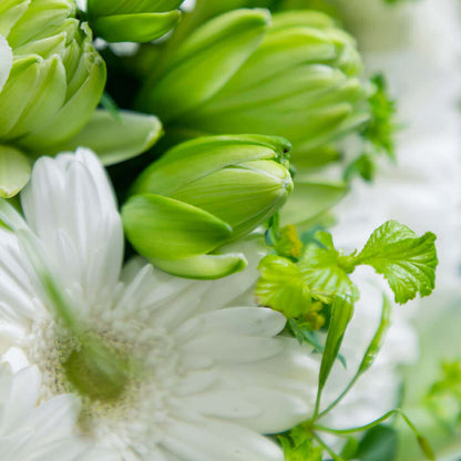 白グリーン系 花束