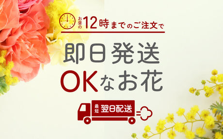 正午までの注文で即日発送