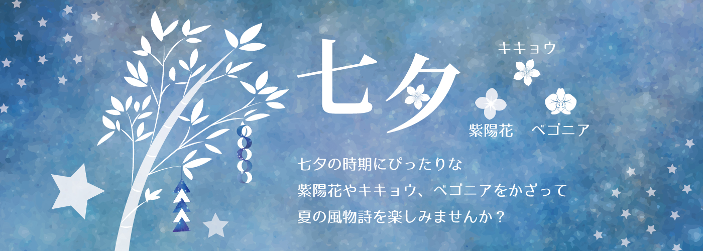 七夕