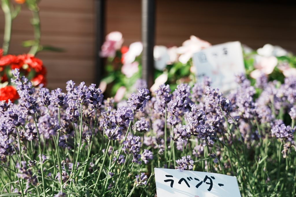 花