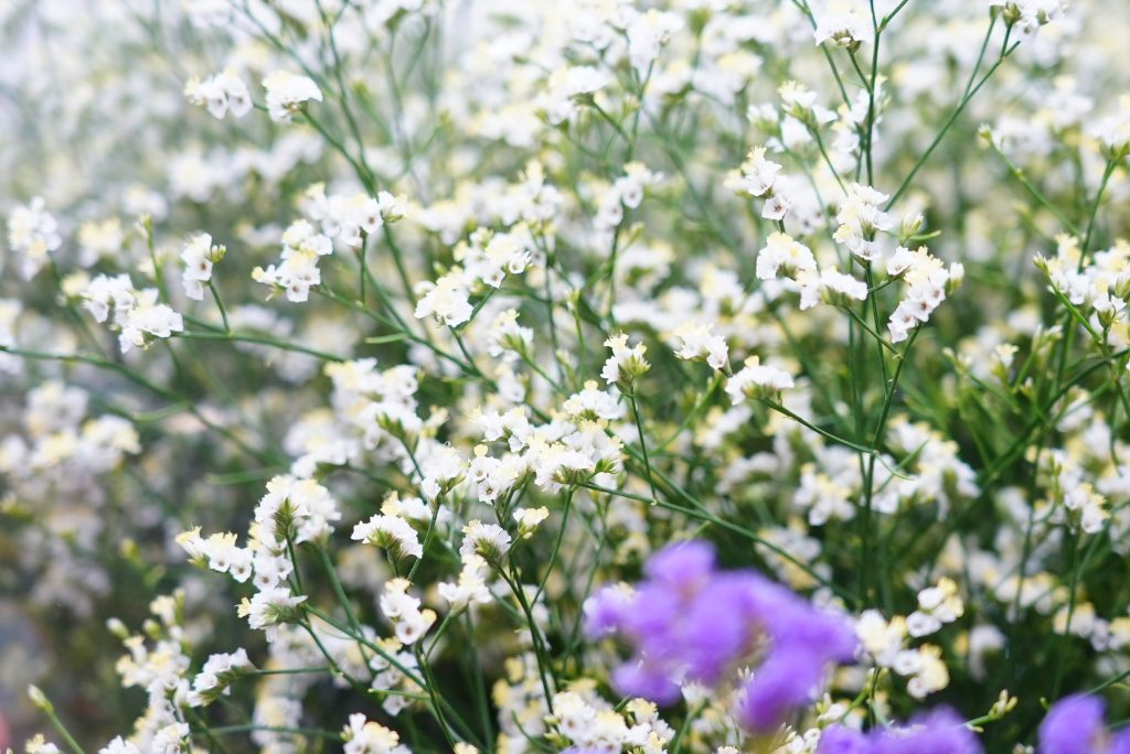 花
